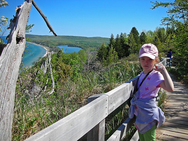 trears over the falling tree on empire bluff